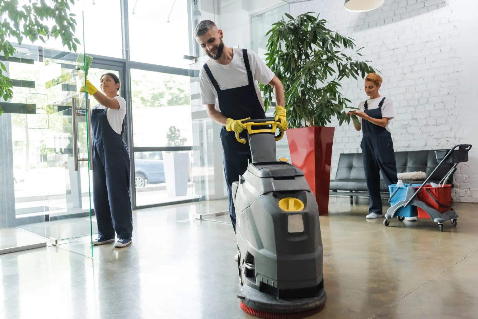 Carpet Cleaning in Mascot — Sydney Clean Group